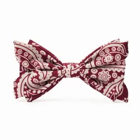 Men's Red & White Cashew Polka Dot Printed Bow Tie