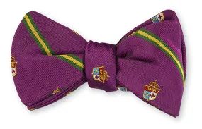 Purple Heraldic Stripes Bow Tie - B5324